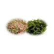 Kép 3/5 - Tofillo natural krétai wellness teakeverék 22g