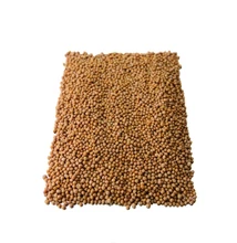 Fehér mustármag szálas tea 100g