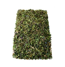 Veronikafű szálas tea 50 g