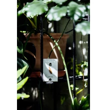 Tofillo bio-organikus krétai zsálya tea 9g
