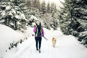 4 étkezési tipp a téli fáradtság ellen