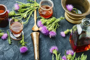 Máriatövis, a természetes csodaszer