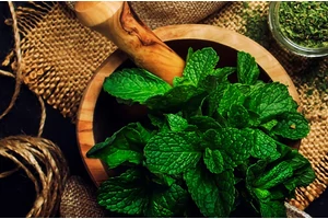 5 dolog, amire jó a borsmenta