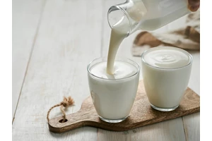 Mi a különbség a prebiotikumok és a probiotikumok között? 