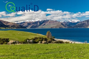 A Quali-D™ titka – igazoltan tiszta D-vitamin