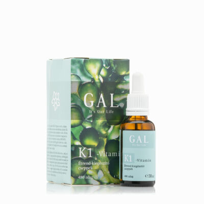 GAL K1-vitamin, 480 adag 